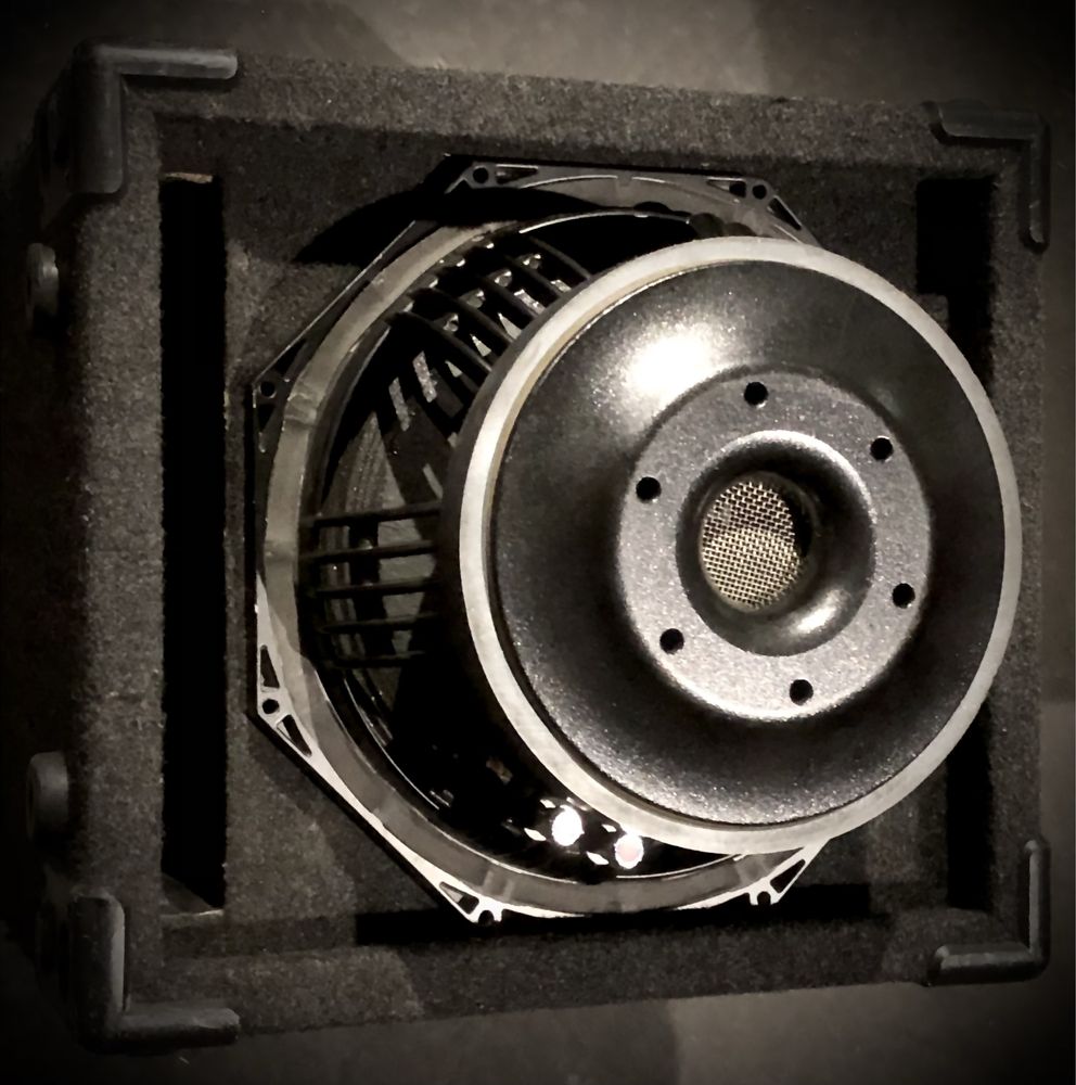 Elestra void subwoofer 12”