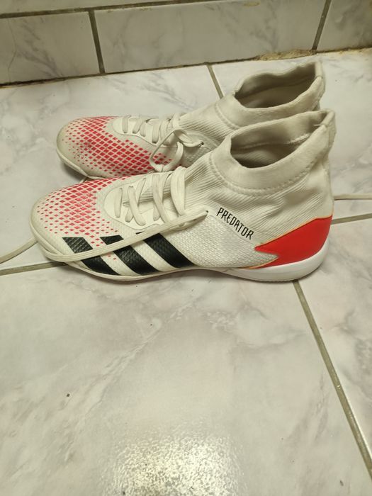 Buty Adidas Predator
