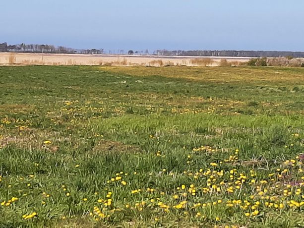 Działka budowlano-inwestycyjna blisko morza 1700 m2