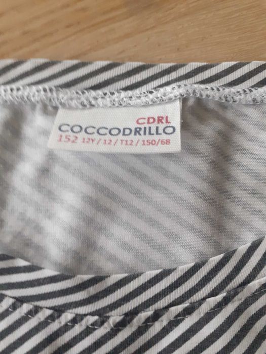 T shirt coccodrillo 152cm 12 lat