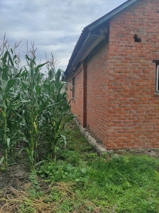 Будинок в с.Рашівка, Миргородського р-ну, Полтавської обл. Торг