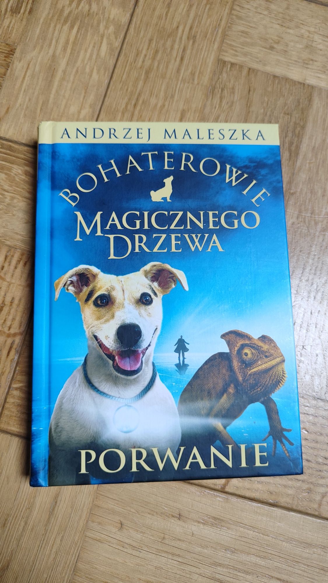 Bohaterowie Magicznego Drzewa. Porwanie. Andrzej Maleszka