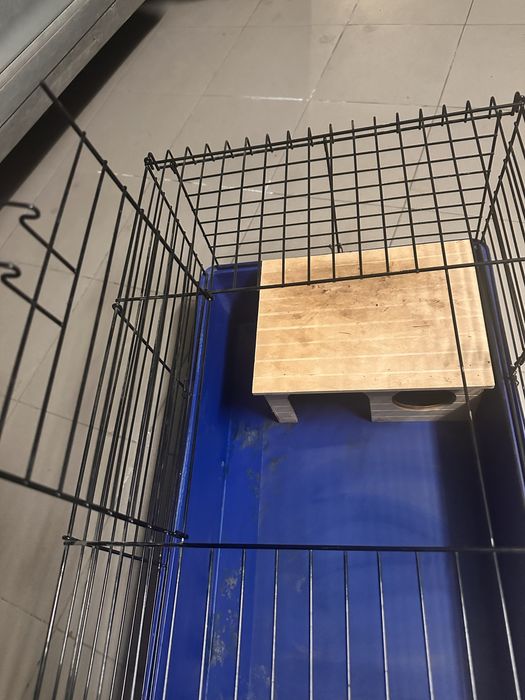 Клітка для кролика