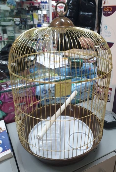 Grande variedades de gaiolas