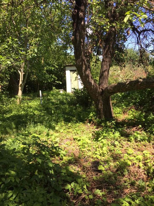 Продаж будинку в Барашівці під дачу або забудову!