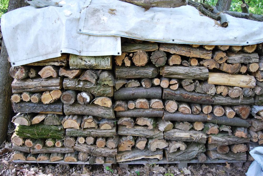 Drewno LIŚCIASTE opałowe do pieca lub kominka