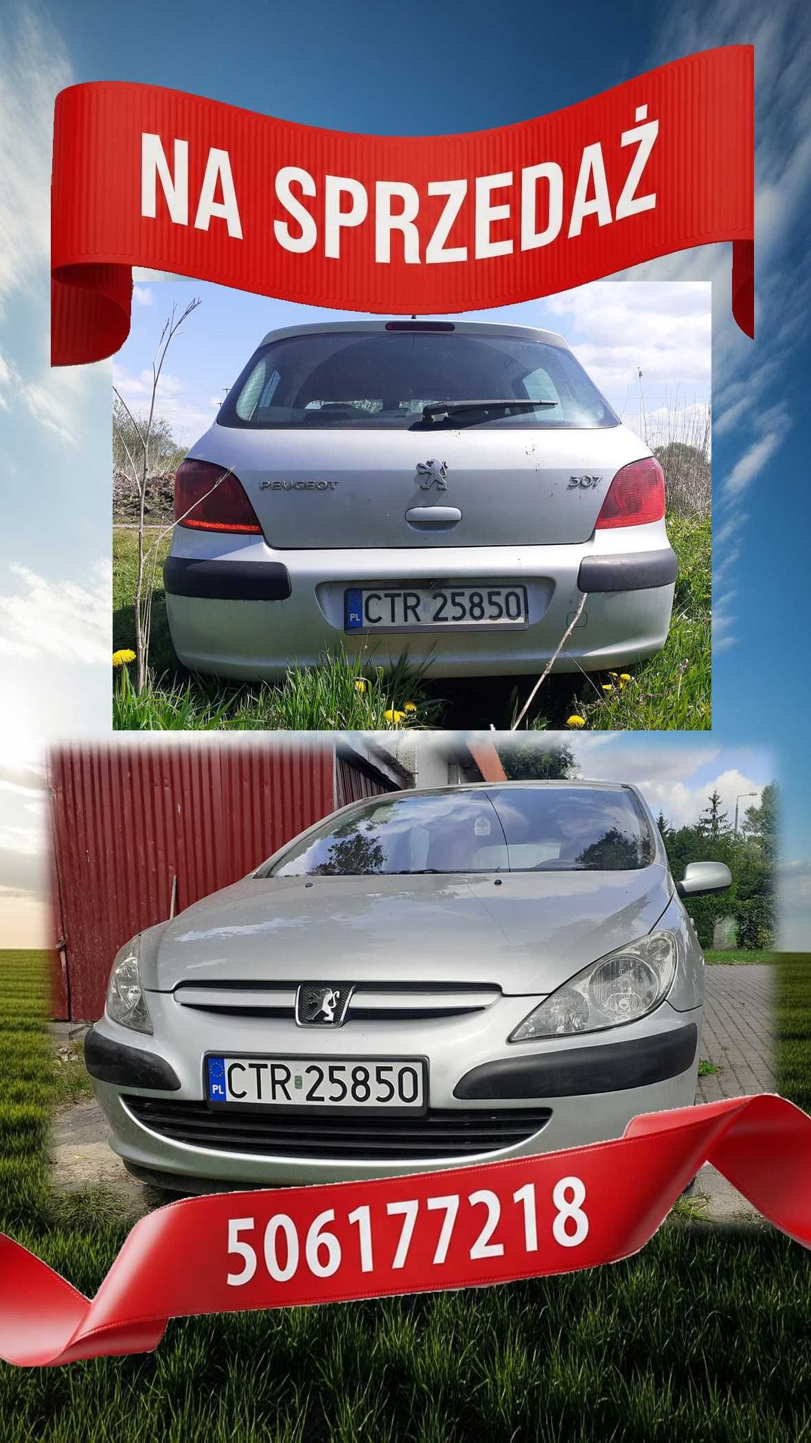 PEUGEOT 307 hatchback  2004
