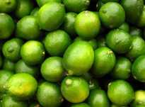 Vendo 10 kg limas frescas biológicas