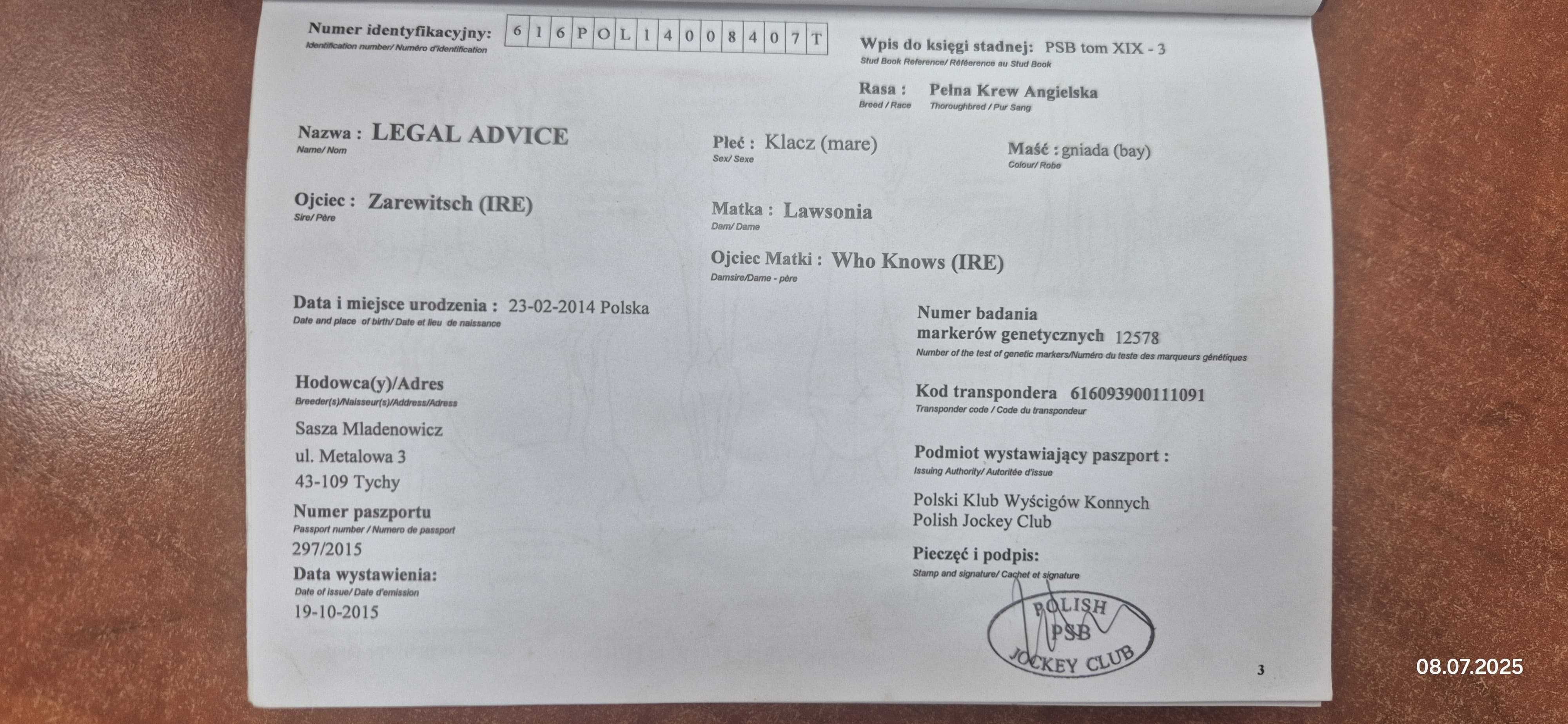 Sprzedam Klacze para matka i córka