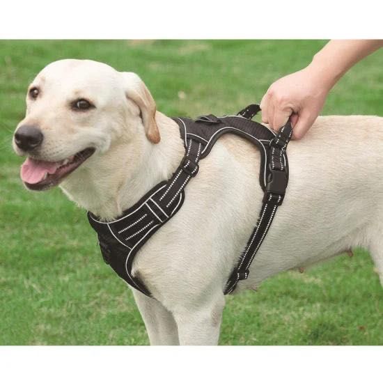 Szelki typu guard +smycz 120 cm!rozmiar M,L,XL