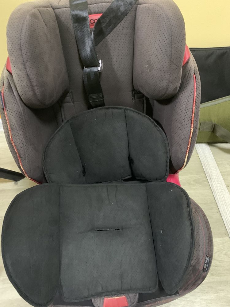 Автокрісло Coletto Sportivo Isofix 9-36 black