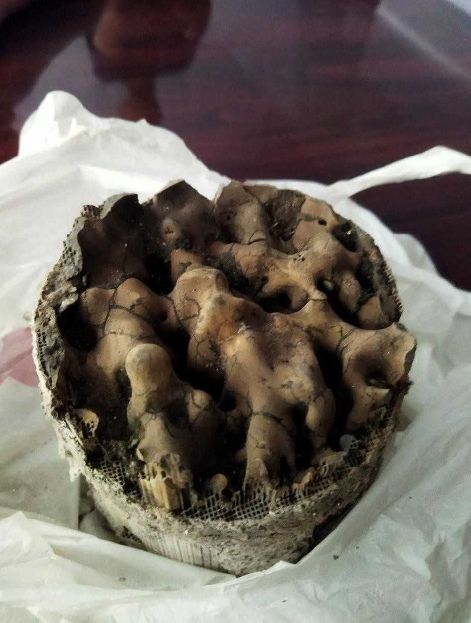 Каталізатори скупка, сажовий фільтр, каталізатор. Здати дорого куплю!