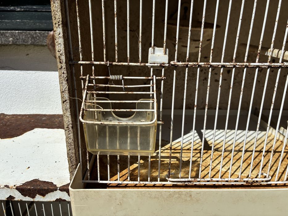 Gaiolão para pássaro