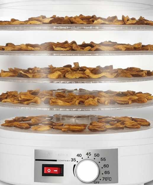 Trwała Mocna Suszarka do Grzybów Żywności 500W 5 SIT Owoce Warzywa PRO