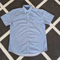 Tommy Hilfiger oryginalna koszula błekitna L krótki rękaw