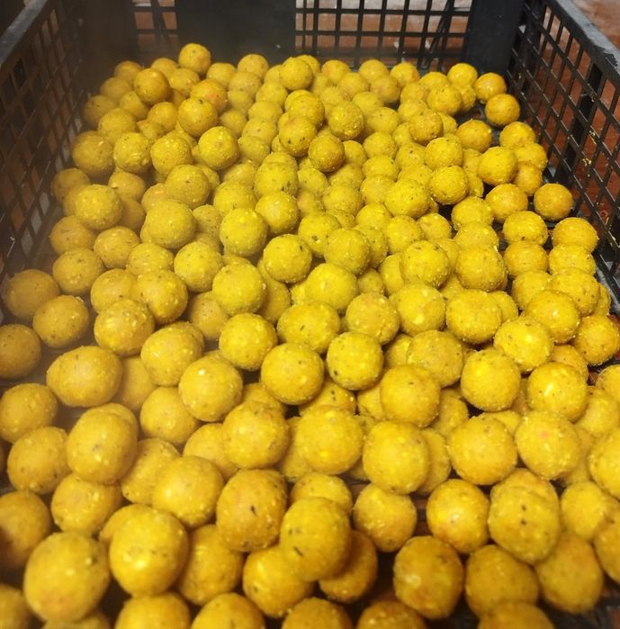 Kulki zanętowe Mango 16mm, 18mm, 20mm