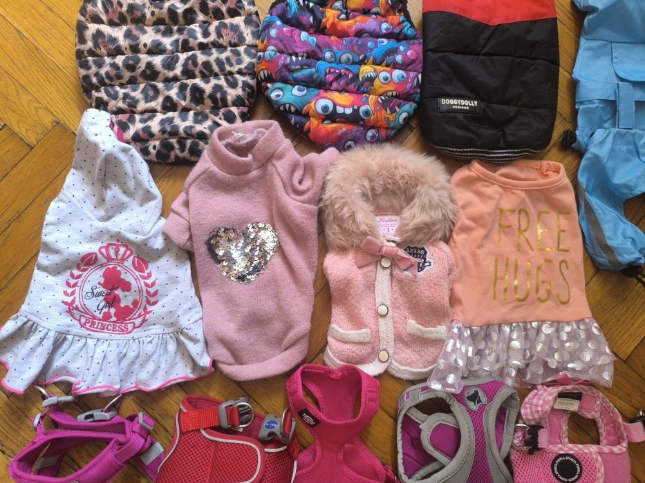 Одежда,переноска, аксессуары xs