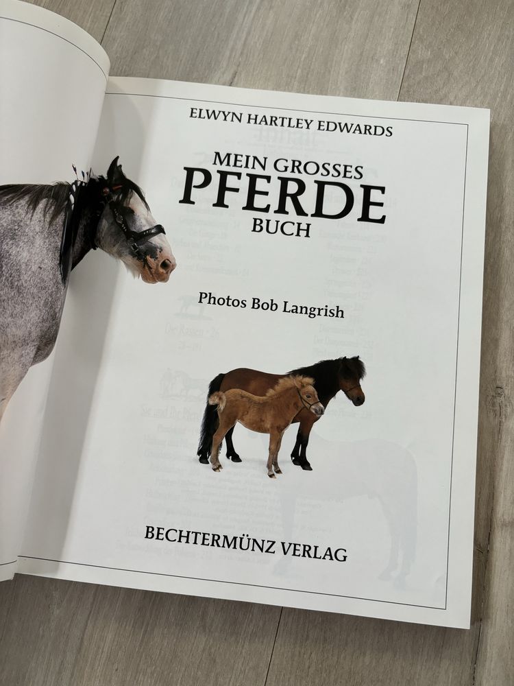 niemiecka książka Konie