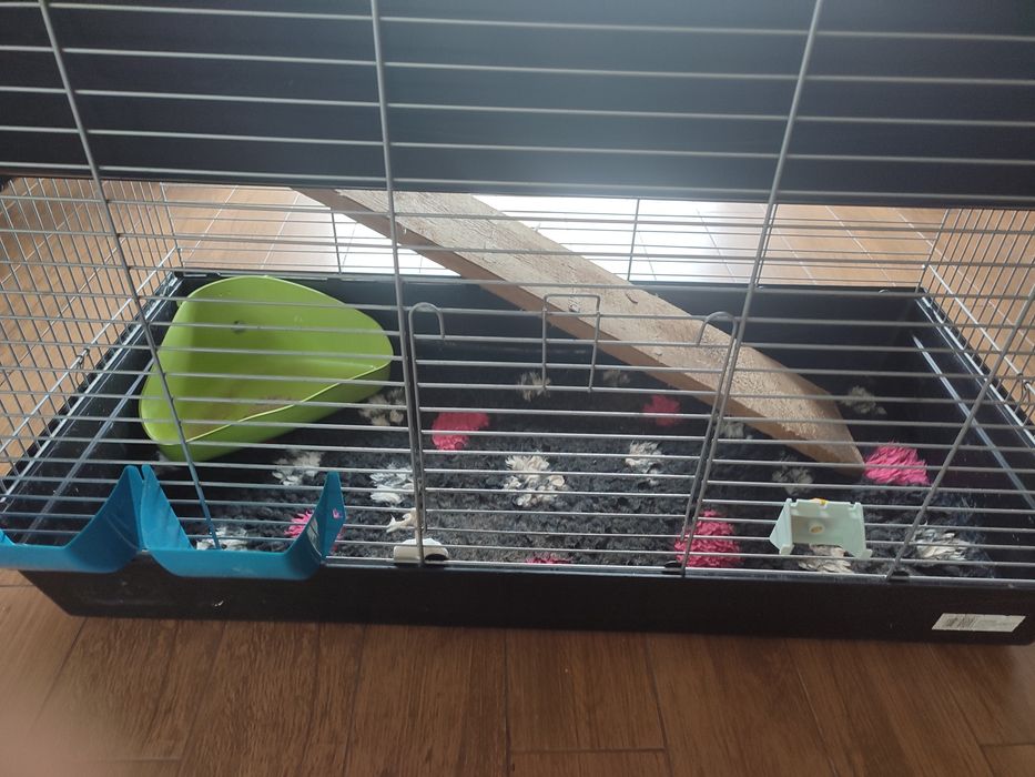 Duża klatka piętrowa 120 cm x 60 cm dla świnki morskiej, królika