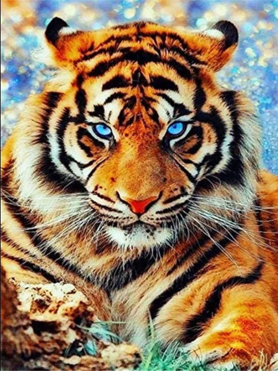 Алмазна вишивка / мозаїка тигри, є і леви, 30*40см, квадратні стрази
