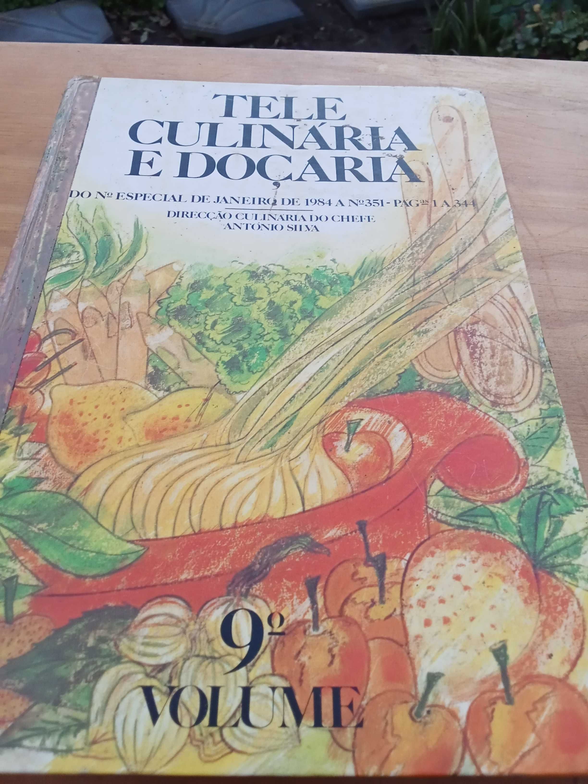 Livros Tele Culinária e Doçaria Chefe António Silva