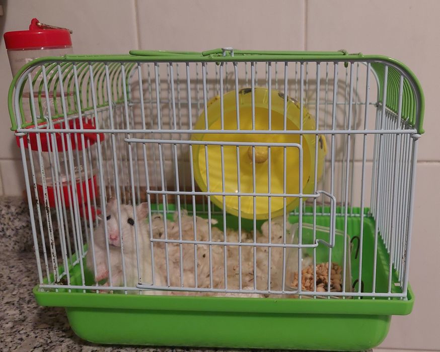 Gaiola de Hamster