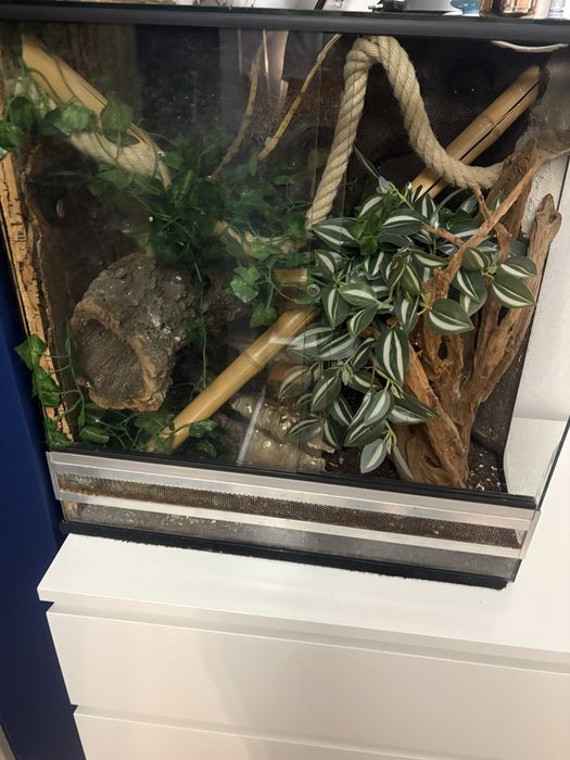 Terrarium dla gekona