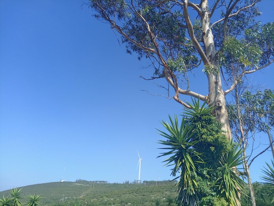 terreno construtivel 900m2 com anexo