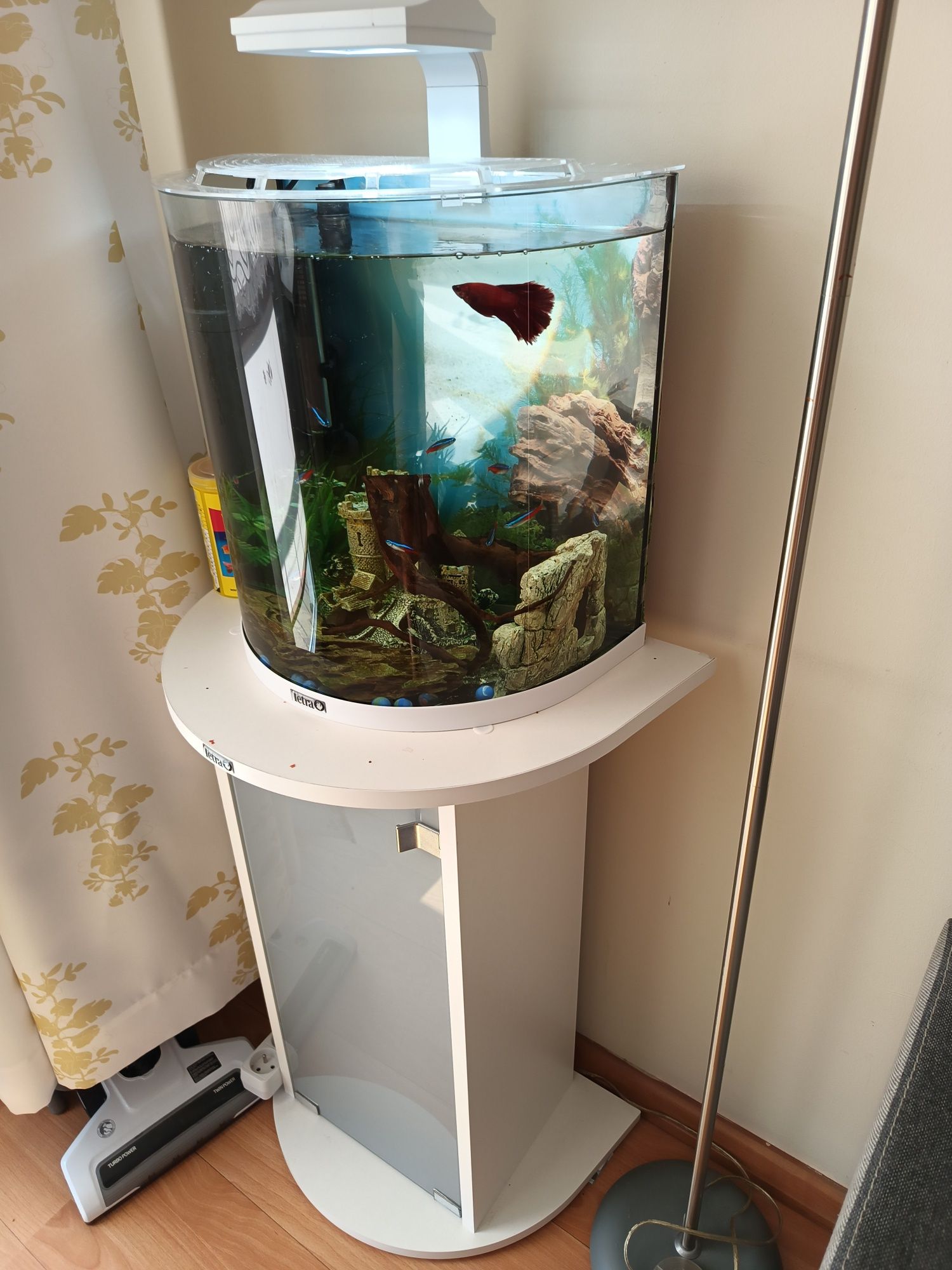 Zestaw Tetra akwarium plus szafka oryginalny