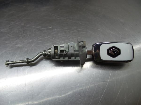 Canhão de porta RENAULT Captur II