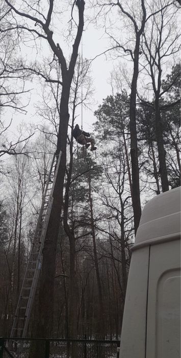 Wycinka alpinistyczna i pielegnacja drzew / czyszczenie dzialek