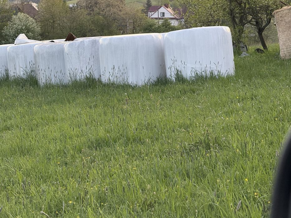 Spszedam siano kiszonke