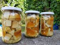 5x315ml domowe borowiki marynowane