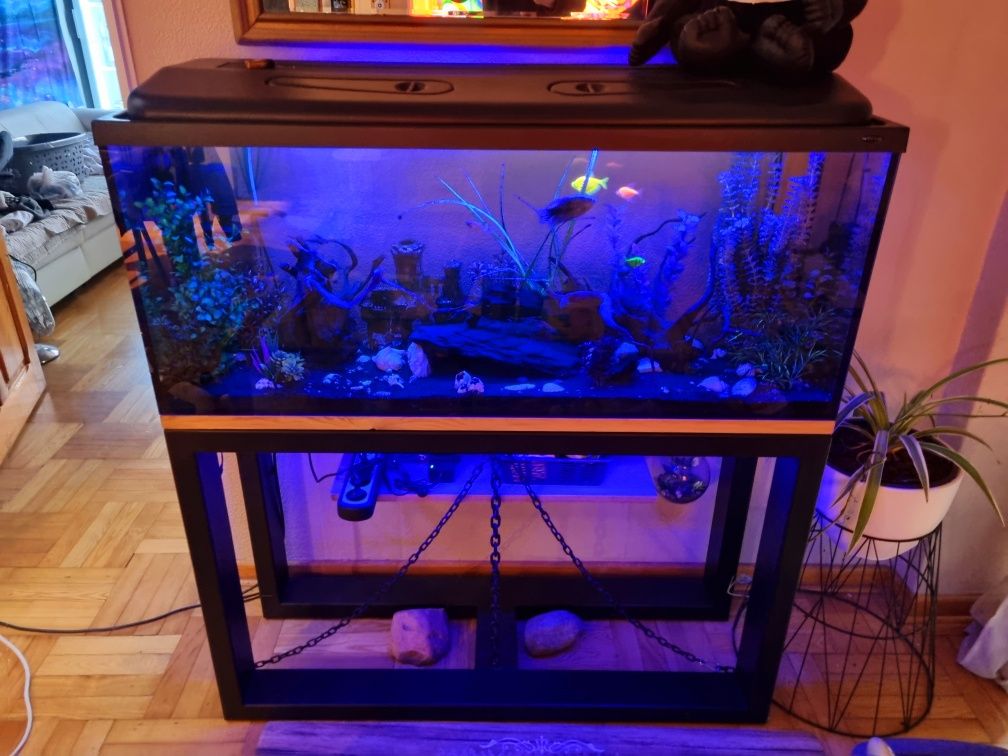 Akwarium x2 + szafka i 8xsum