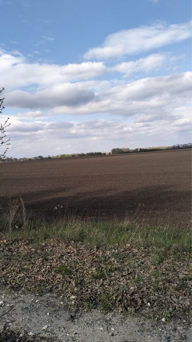 Ділянка 25га Обухівський р-н