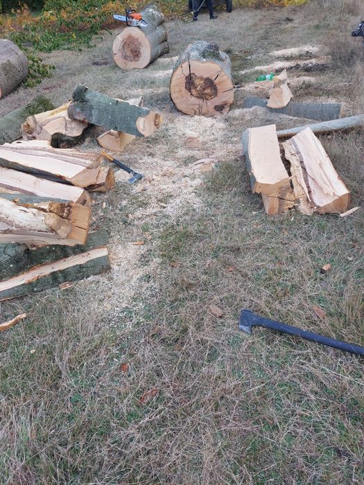 Sprzedam drewno bukowe w metrowkach