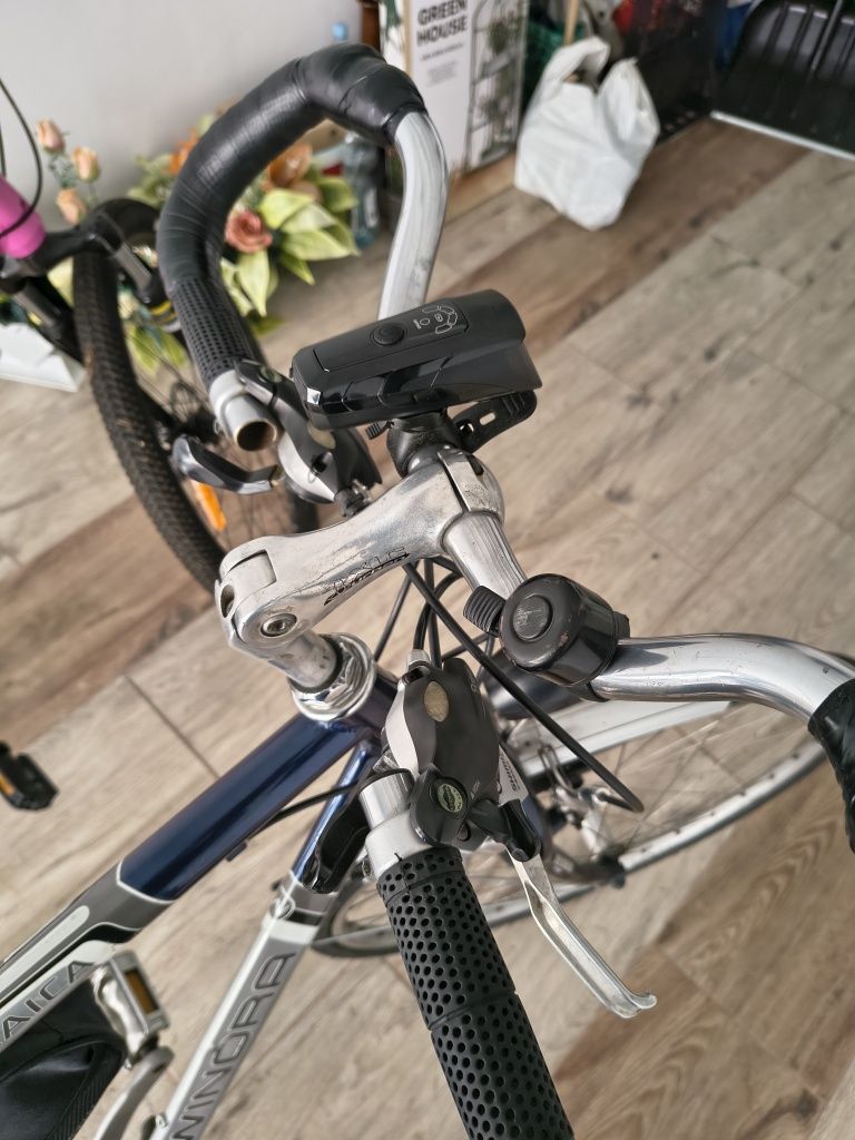 Rower trekkingowy Winora 28'