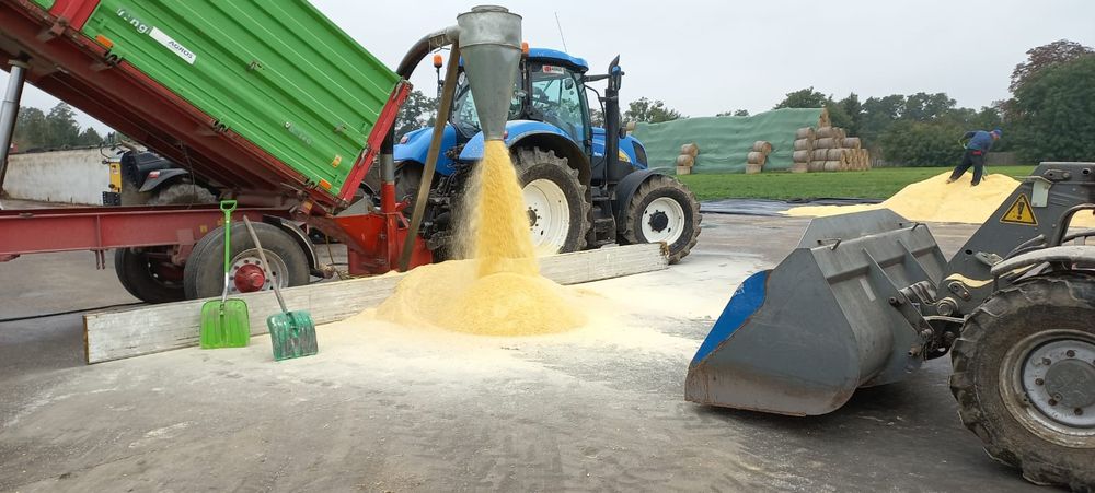 Śrutownik kukurydza ccm młyn śrutowanie na doby