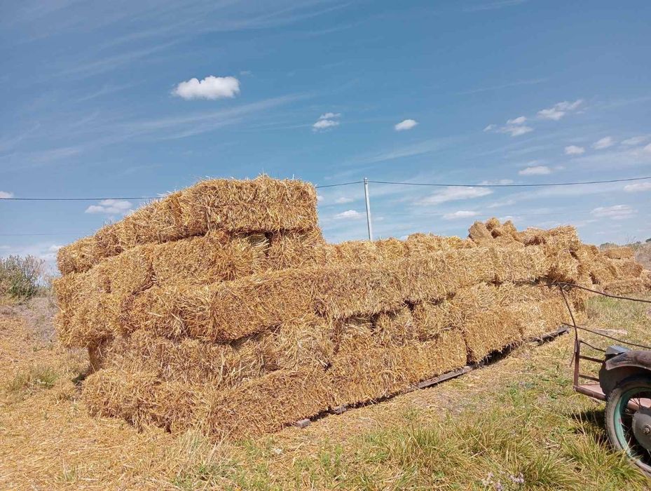 В продаже солома 15-17 кг тюк.пшеница.ячмень