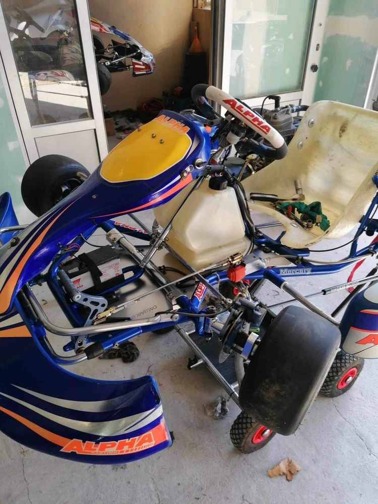 Gokart, karting alpha 125cc super stan.