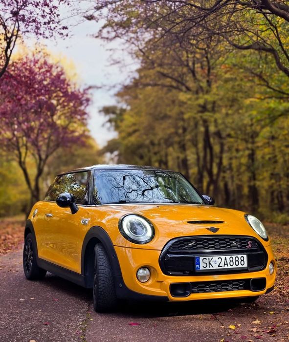 MINI Cooper S Akcesoryjny wydech na klapach