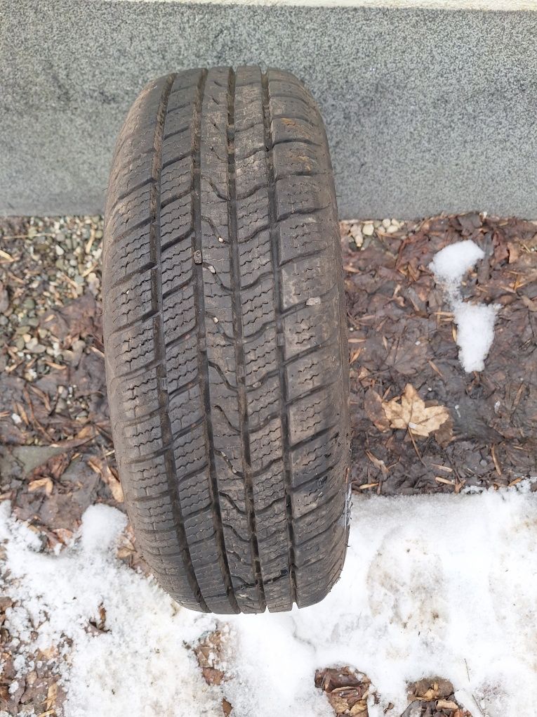 opona pojedynka royal black a/s 165/60r14