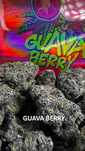 Susz THC CBD CBG ganja moc rosliny legalny