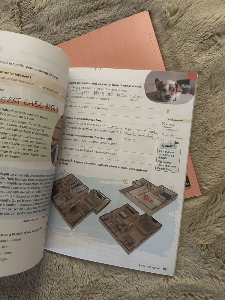 Voilà! 8 (inclui Manual do Aluno e caderno de atividades)