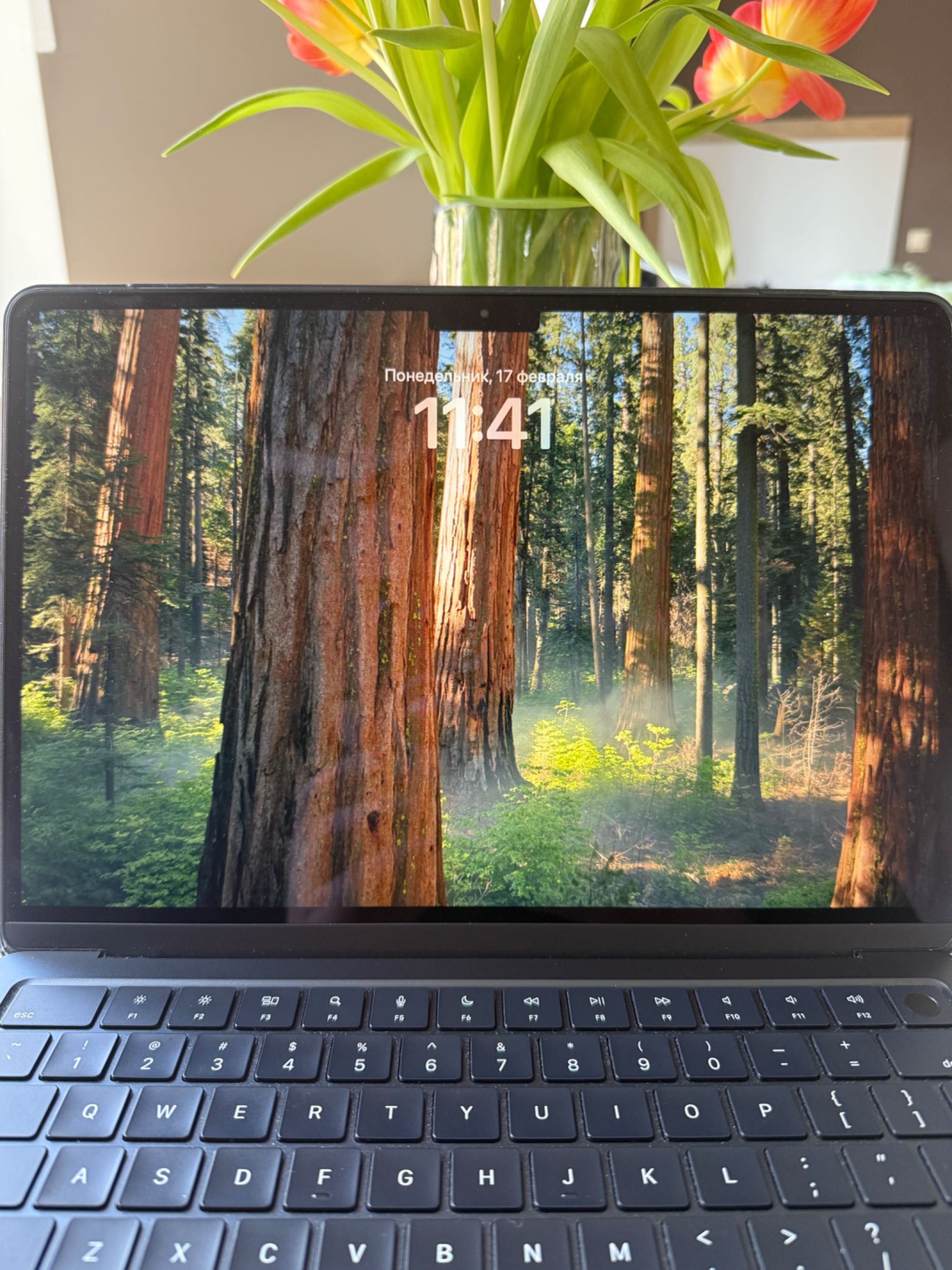 MacBook Air M2, 2022