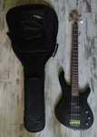 Cort Action PJ Pore Black + Thomann case