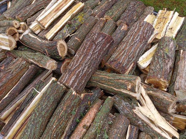 Продам дрова змішані  породи дерев