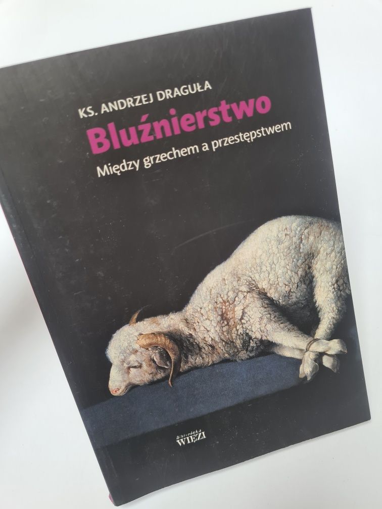 Bluźnierstwo. Między grzechem a przestępstwem - Ks. Andrzej Draguła