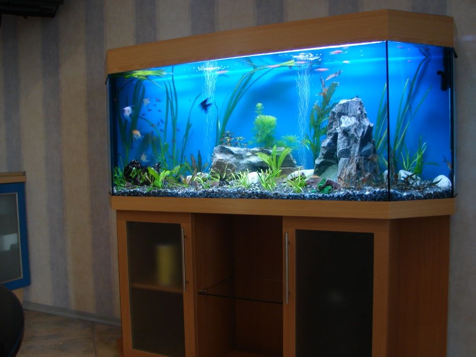 Аквариумы под заказ Киев