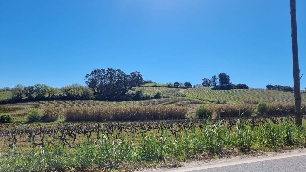 Casa casais maçaricos- Alenquer
